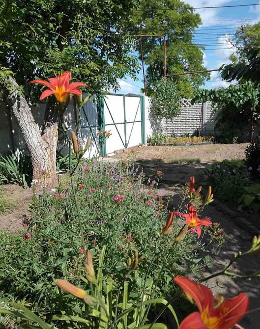 Продається будинок в Іличанці на 5 сотках землі.  - фото 4