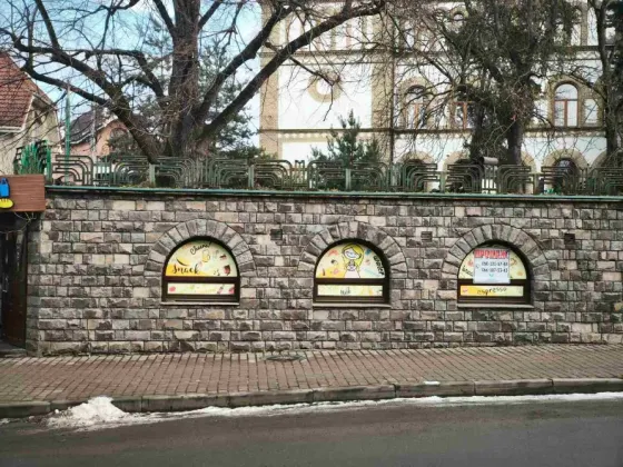 Продаж Окрема будівля / частина будівлі площа 47 кв.м 1-й поверх на Собранецька 2 Ужгород