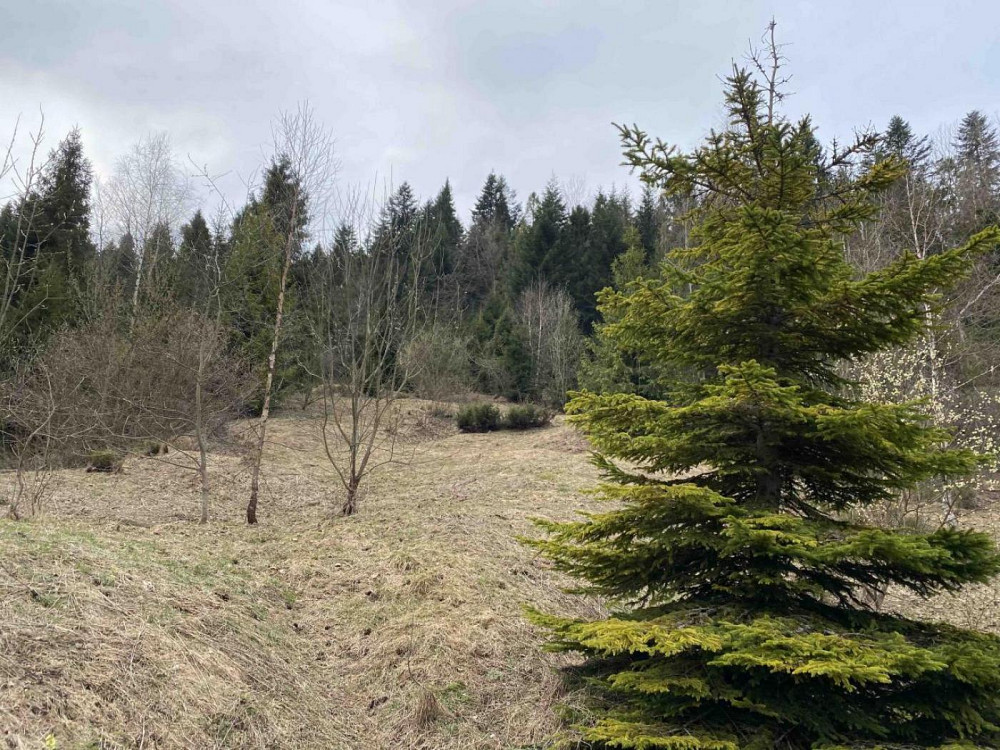 Продаж земельної ділянки 10 соток на вул. Під Митою Орявчик - изображение 7