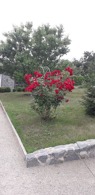 Продам дачу. селище Кондаурове Кропивницький - фото 10