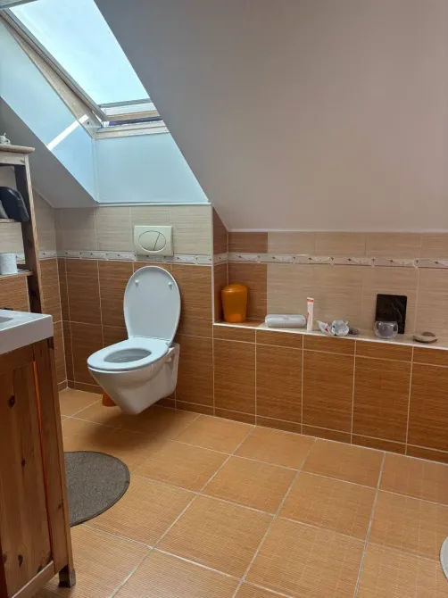 Продаж 2-поверховий Будинок з ділянкою 9.6 сот 187 кв.м 6 кімн. на Дмитра Яворницького, 94 Дніпро - фото 12