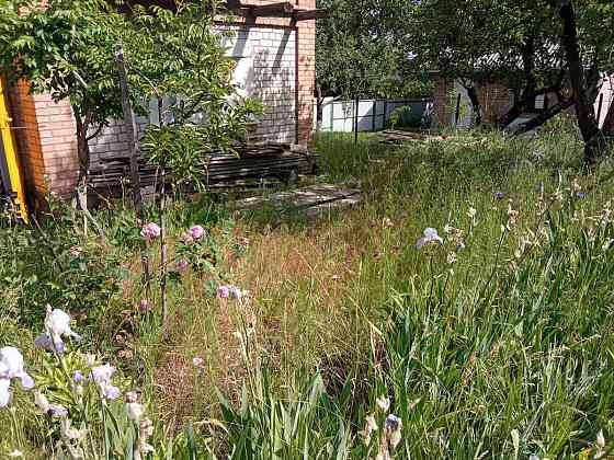 Терміновий продаж Кропивницький