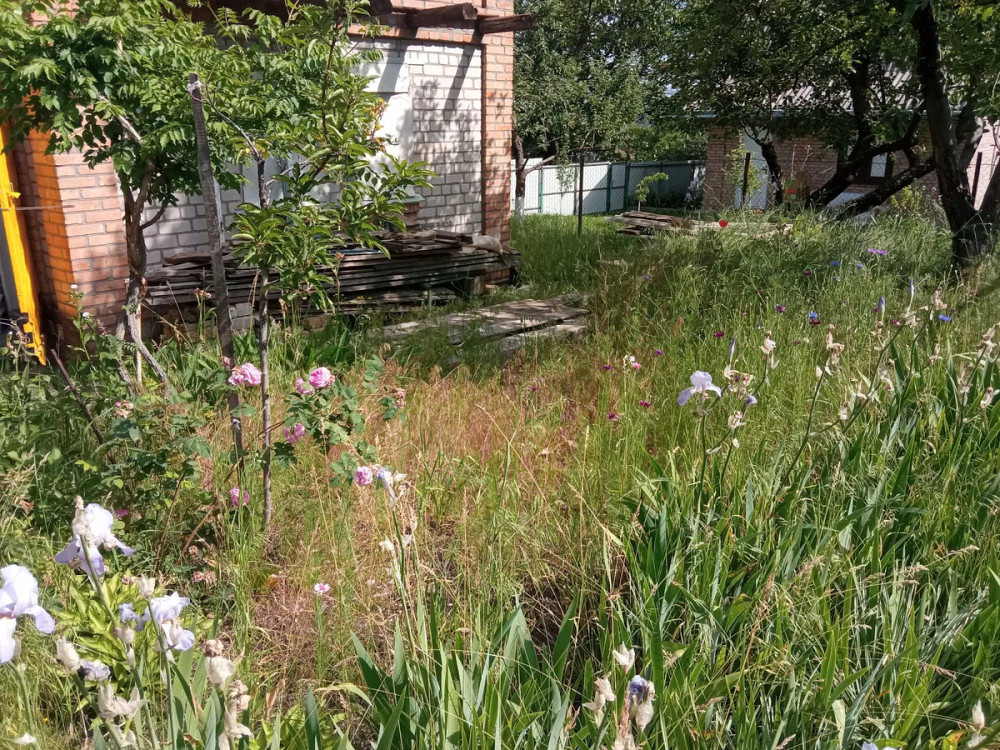 Терміновий продаж Кропивницький - фото 4