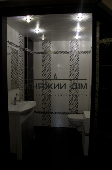 Есть Генератор .Аренда коттеджа в населенном пункте Рожевка Броварского р-на. № 132490  - фото 3