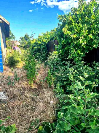 Продаж 1-поверховий Будинок з ділянкою 4 сот 50 кв.м 2 кімн. на Красноселка Одеса