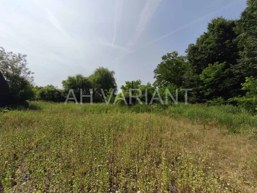 Продаж земельної ділянки Будівництво та експлуатація виробничих підприємств площа 115 сот Берег Чоп - фото 8