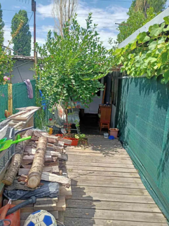 Продам курень на берегу моря в Одессе (р-н ул.Ярмарочная, 193 Причал) Одеса