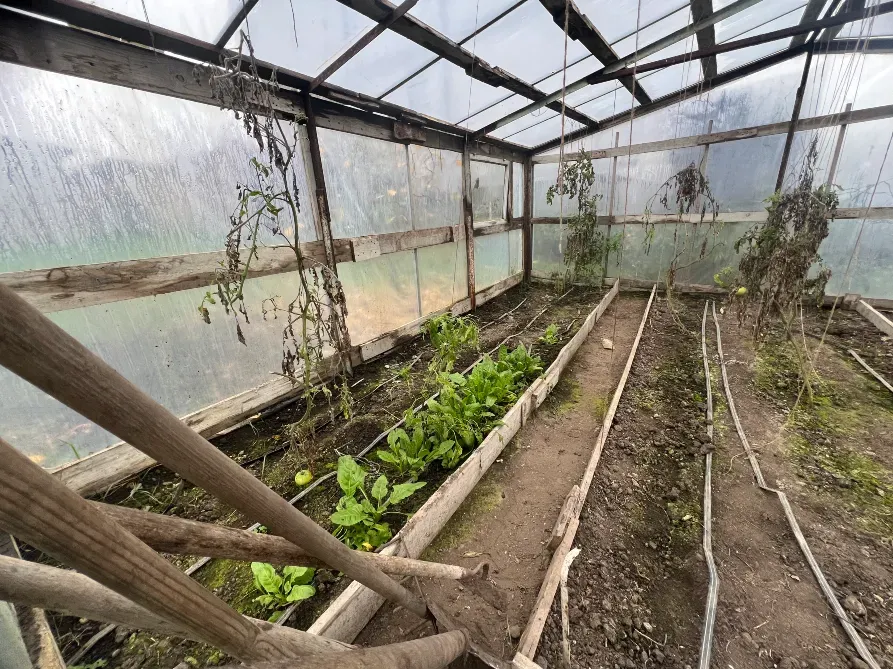 Продажа 1-этажный Дом с участком 8.5 сот 90 кв.м 3 комн. на КУРОРТНАЯ Одесса - изображение 8