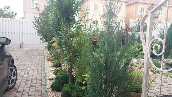 Продам дом  180м в Бурлачей Балке Бурлача Балка