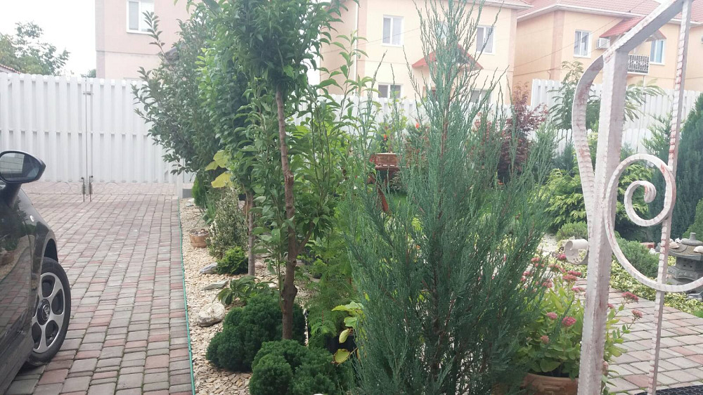 Продам дом  180м в Бурлачей Балке Бурлача Балка - фото 5