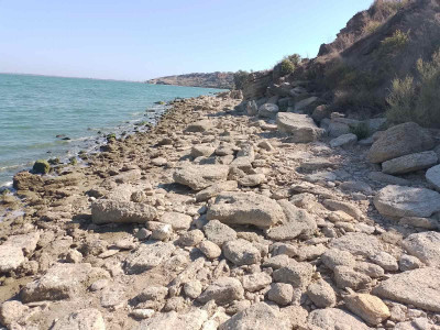 Продаж земельної ділянки 0.1 соток на ул. ул. Бузкова Долина (ДСТ "Витамин"), 28а Нерубайське - фото 3