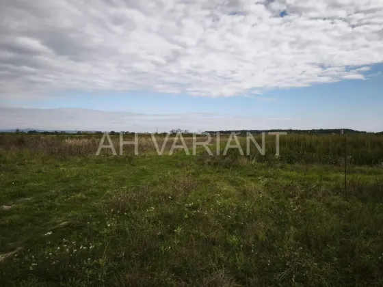 Продаж земельної ділянки Для сільськогосподарської діяльності площа 20 сот Чонкаші Сторожниця