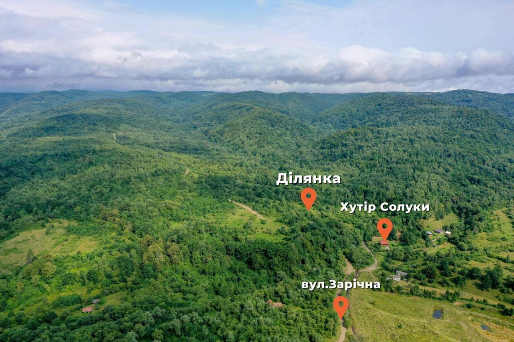 Продаж земельної ділянки 1 га на вул. Шевченка Верхнє Синьовидне - фото 2