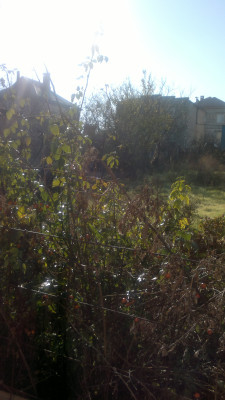 Продаж земельної ділянки 8 соток на ул. Пионерская (ул. Надлиманская), 37а Нерубайське - фото 2