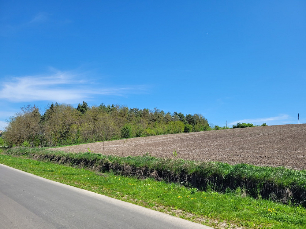 Продаж земельної ділянки 3.76 га Kolodiivka - photo 12