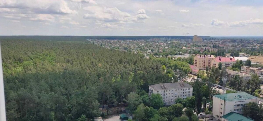 Продаж Квартира 1-кімнатна, 21/25 поверх на Світла, 3-д Київ - фото 16