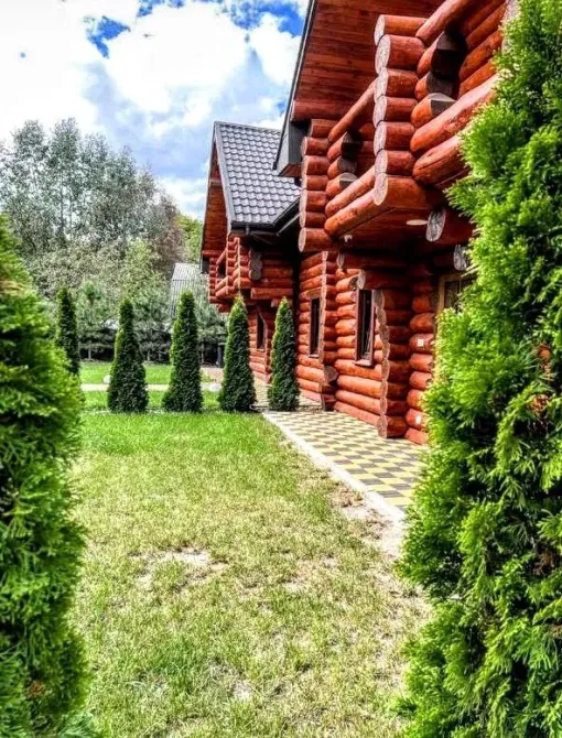 210 Cozy cottage for a holiday for rent with a swimming pool Kiev - photo 9