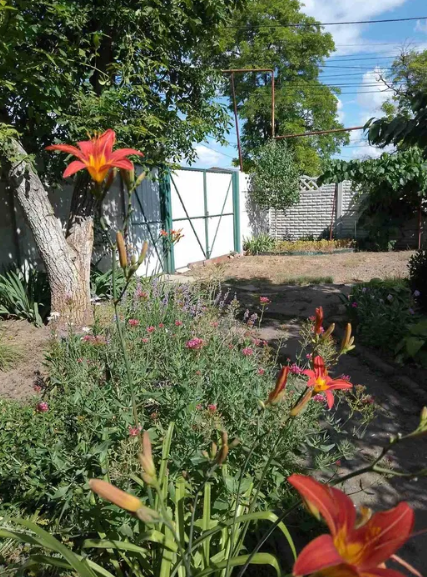 Продам будинок в Одесі (вул.Паустовського)  - фото 16