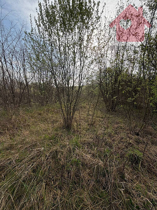 Продаж земельної ділянки 8 соток Ужгород - фото 4