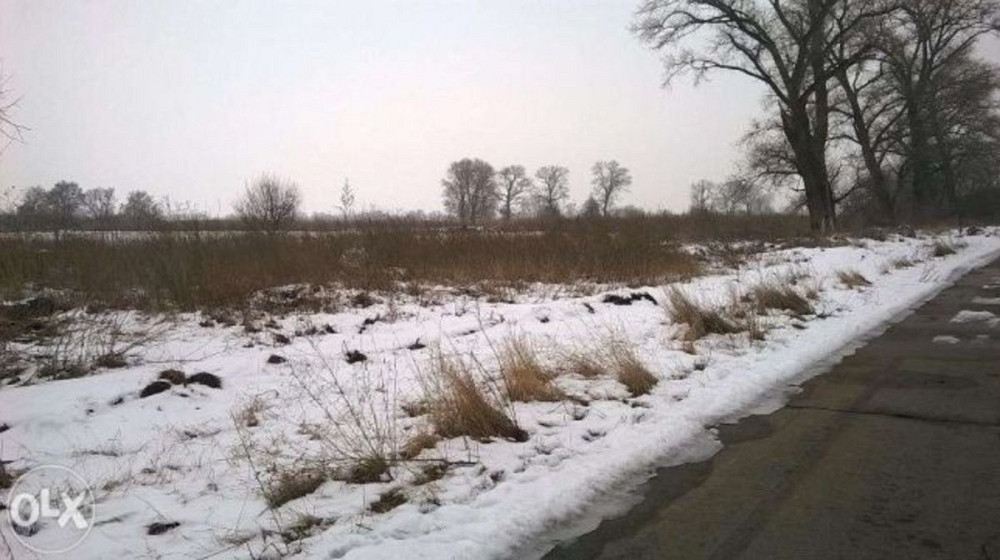 Продаж земельної ділянки 13 соток  - фото 2