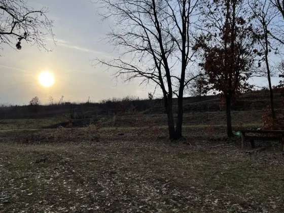 Продаж земельної ділянки Для сільськогосподарської діяльності площа 60 сот урочище «Тераса» Середнє