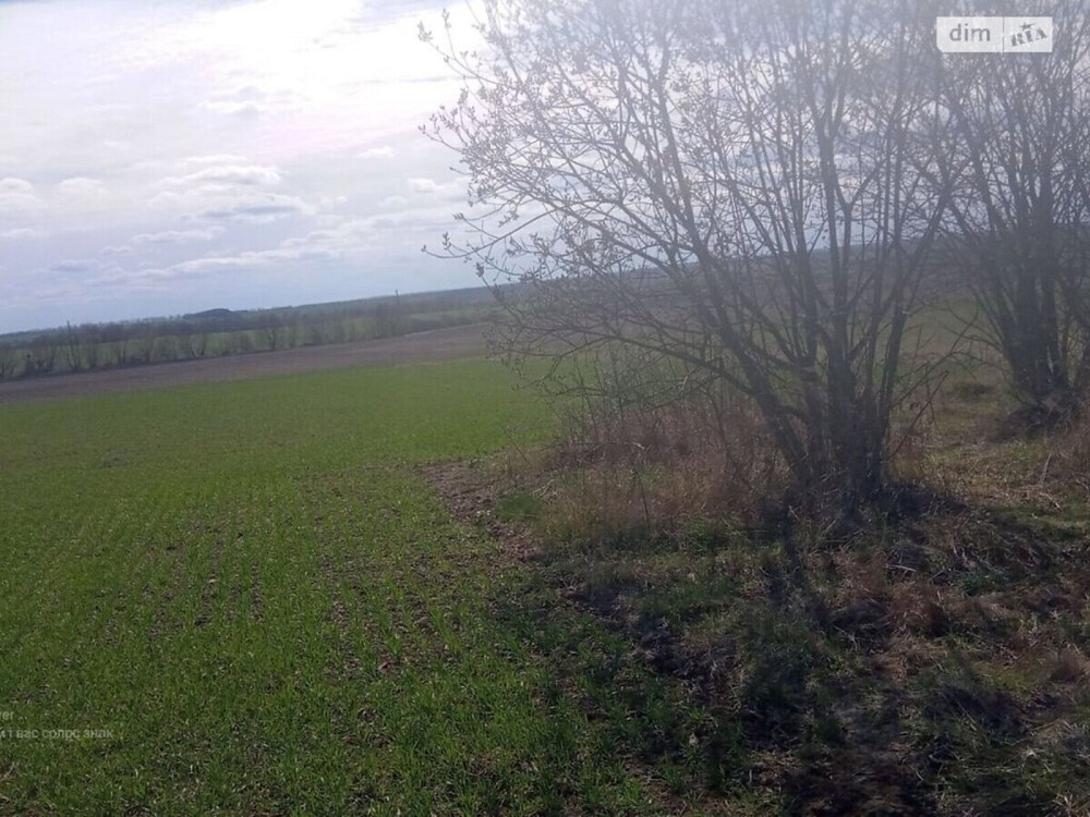 Продаж земельної ділянки 16 соток на Хмельницьке шосе Вінниця - фото 1