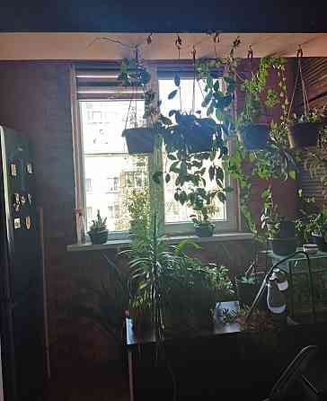 Продаж Квартира 2-кімнатна, 5/5 поверх на вул. Симоненка В. Івано-Франківськ