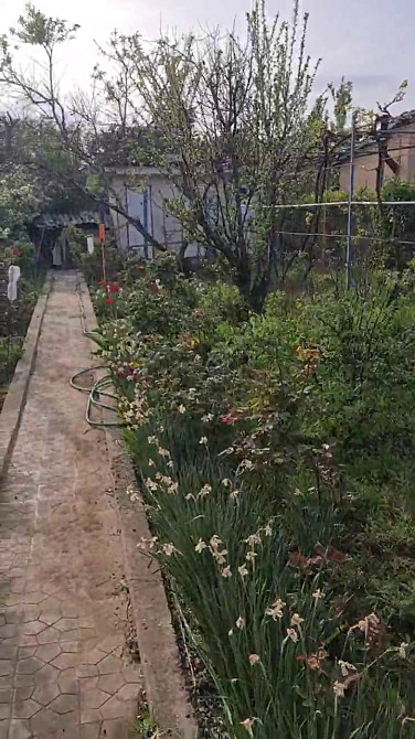 Продам дом в селе Красносёлка / Светлое, 5 км. от Одессы Красносилка - изображение 18