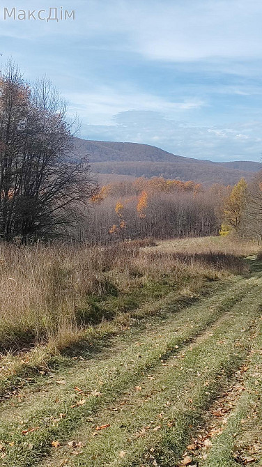 Продаж Будинок Stopchativ - photo 7