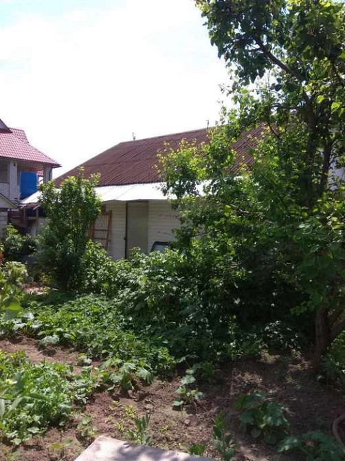 Оренда Квартира 1-кімнатна на Добробутная, 3 Київ - фото 5