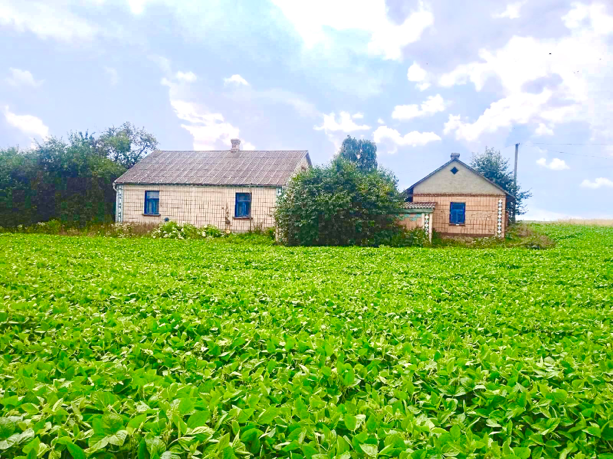 Продаж 1-поверховий Будинок з ділянкою 0.2496 сот 104.4 кв.м 3 кімн. на Новоставська Шостаків - фото 12