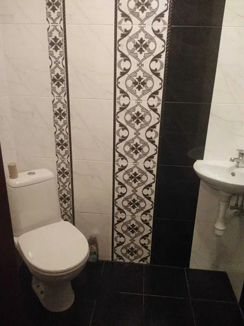 Оренда Квартира 1-кімнатна, 10/24 поверх на Княжий Затон, 9 Київ - фото 9