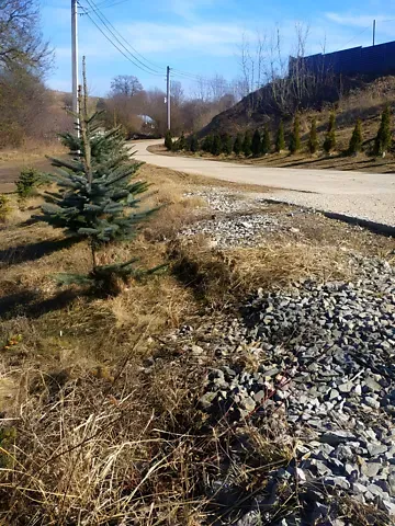 Продаж земельної ділянки  площа 10 сот Глибочанська вулиця Тернопіль - фото 12