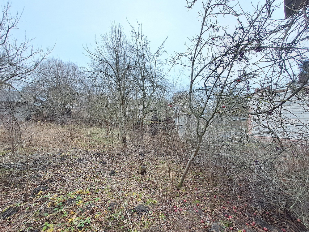 Продаж Будинок на вул. Зелена Подгородное - изображение 6