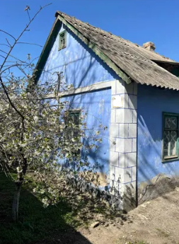 Продам дом с газом в пгт Ивановка (60 км от Одессы) Іванівка (Іванівський район) - фото 9