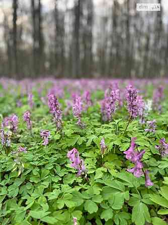 Продаж земельної ділянки 82 соток на Зулинського Вінниця