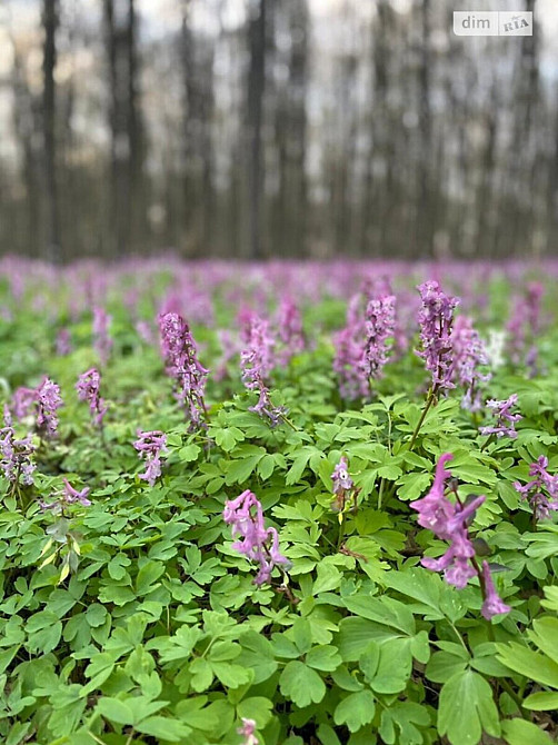 Продаж земельної ділянки 82 соток на Зулинського Вінниця - фото 1