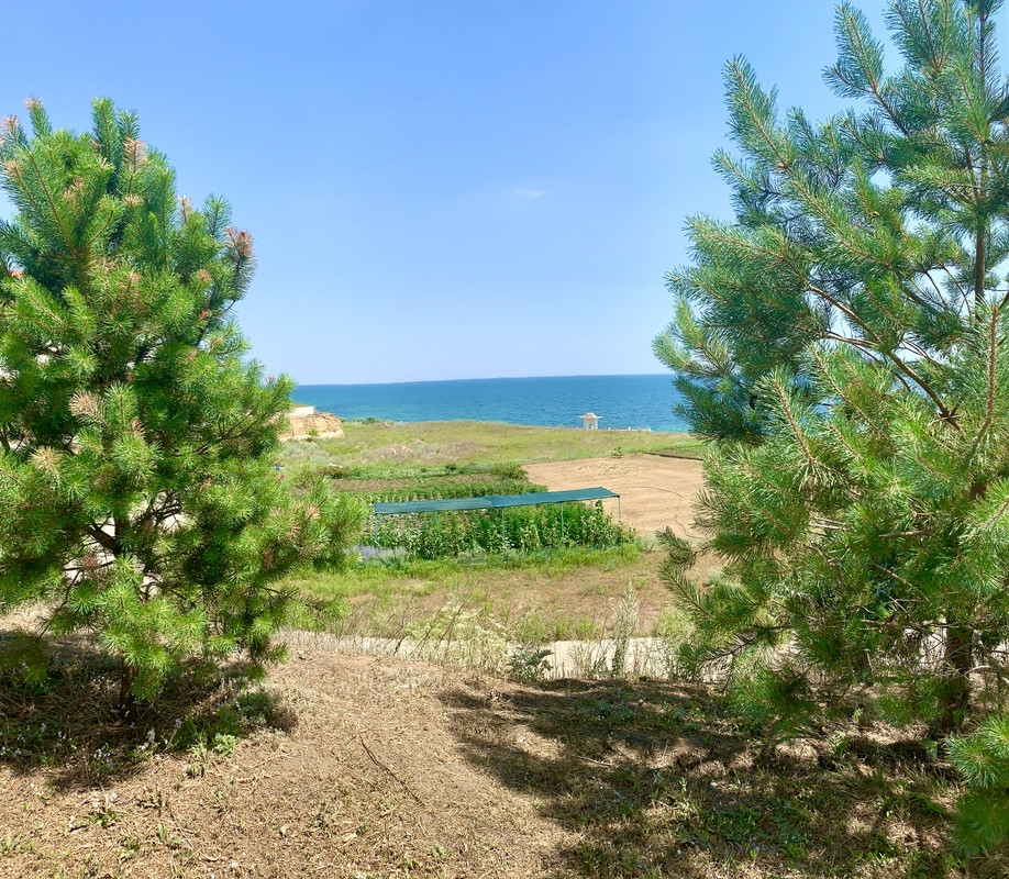 Продаж земельної ділянки 25 соток Odessa - photo 5