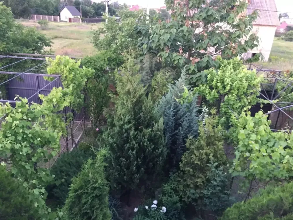 Продаж Будинок на вул. Перемоги Sanzhiika - photo 10