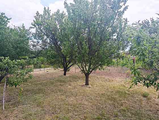 Продам дачу С.Т. Ятрань Кропивницький