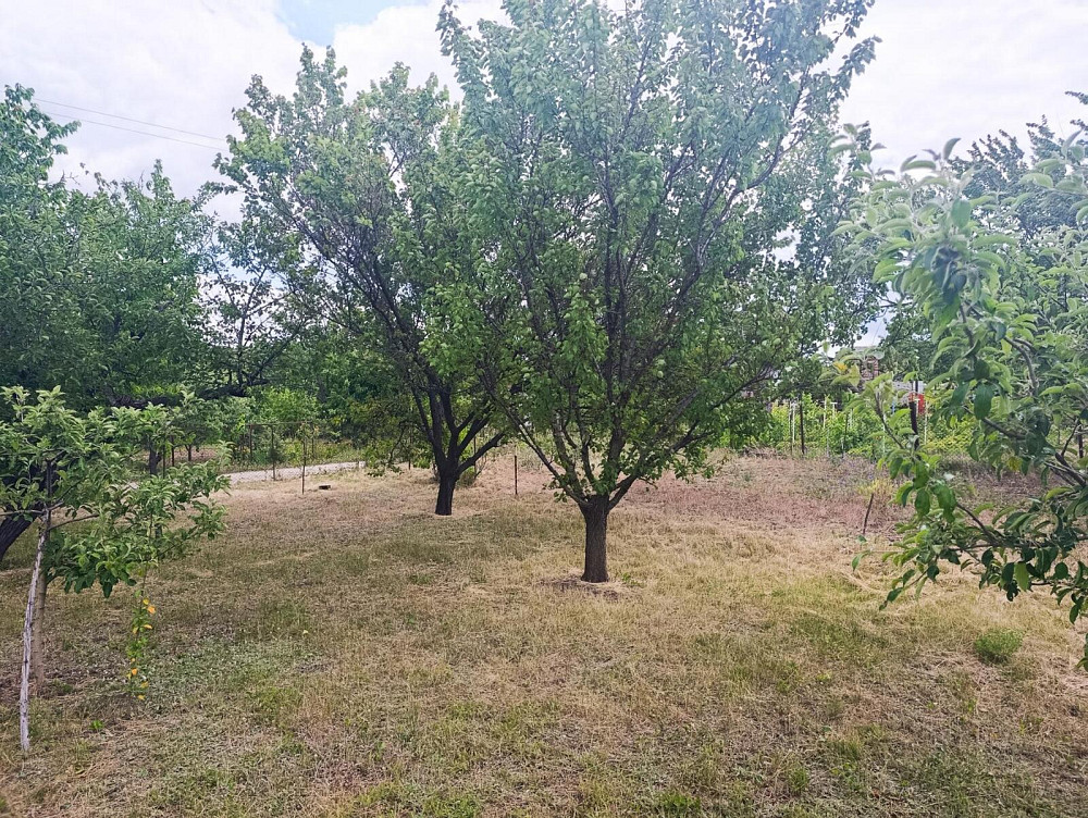 Продам дачу С.Т. Ятрань Кропивницький - фото 6