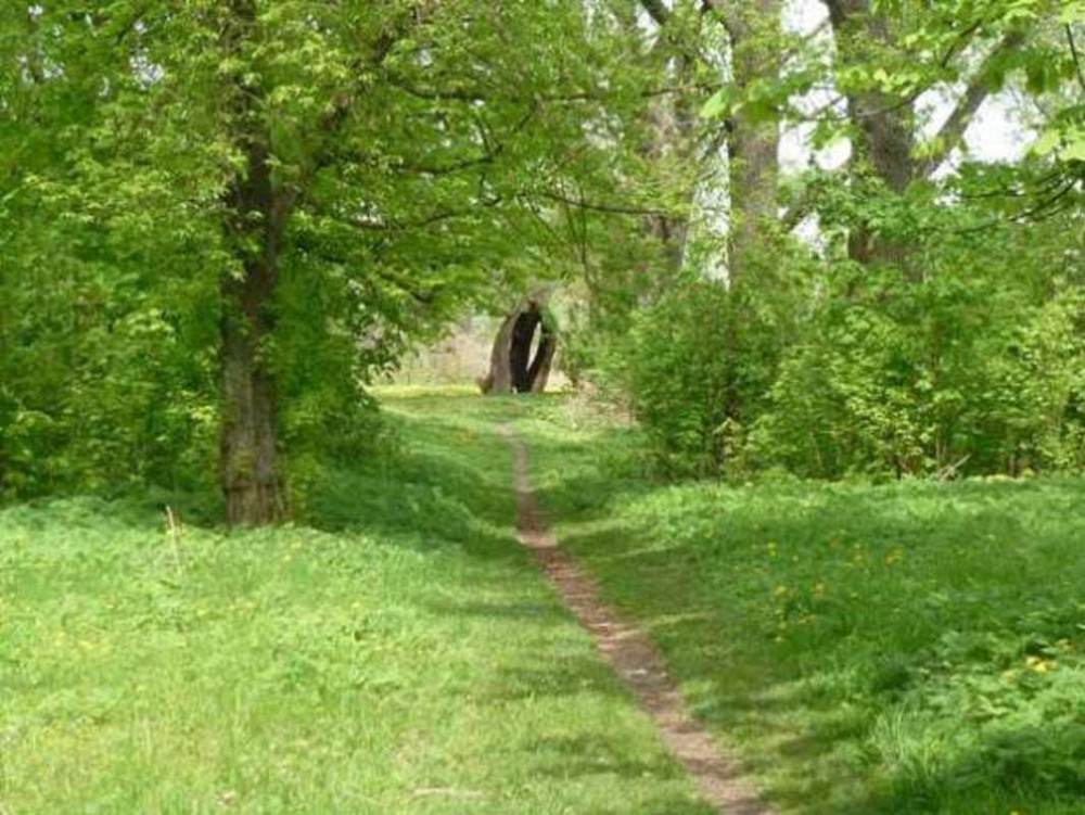 Продаж земельної ділянки 18 соток на Дружбы Вороньківка - фото 2