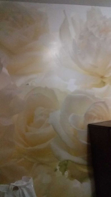 Оренда Квартира 1-кімнатна, 1/9 поверх Vinnytsya - photo 5