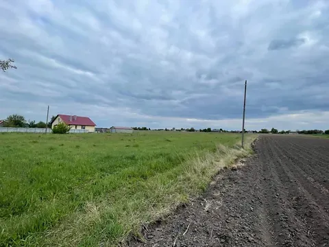 Продаж земельної ділянки Для будівництва приватного житлового будинку площа 46 сот вул. Миру у с. Борохів. Луцьк - фото 8