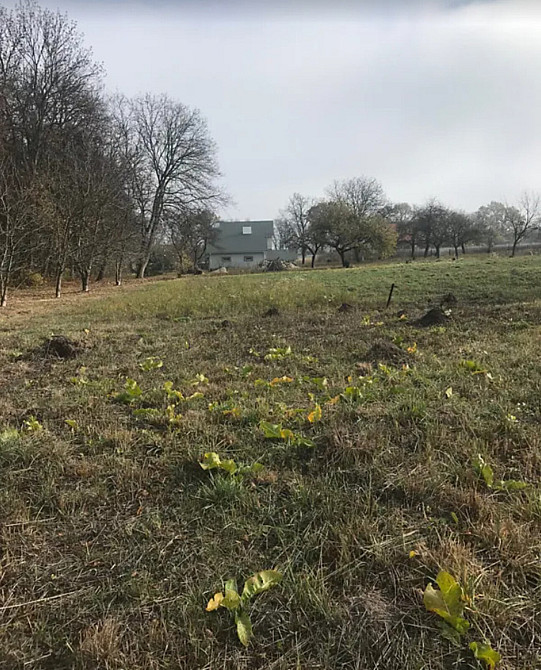 Продаж земельної ділянки 10 соток  - фото 2