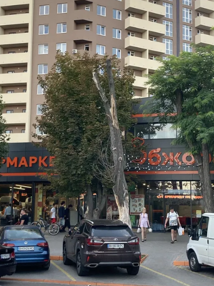 Продам будинок на Слободці навпроти  ЖК «Одеських Традицій» Одеса - фото 19