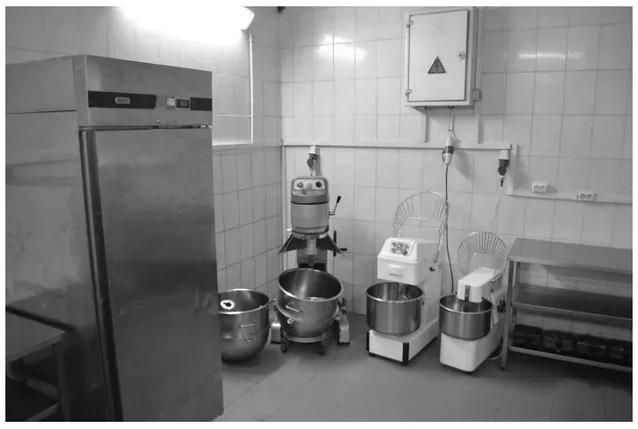 For sale Separate Building / Part Of Building area 910 sq.m  at мукачево Mukacheve - photo 11