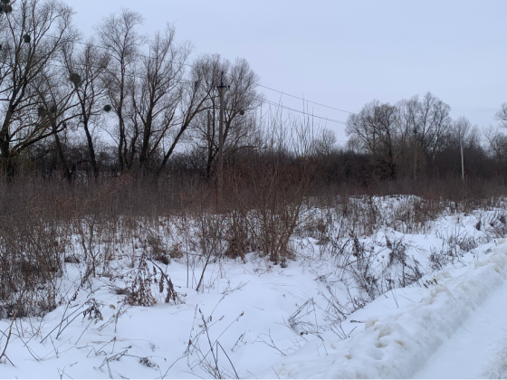 Продажа земельного участка Для сельскохозяйственной деятельности площадь 19 сот GWWH+WP, Миколаївський район, Львівська область, 81630 Дроговиж