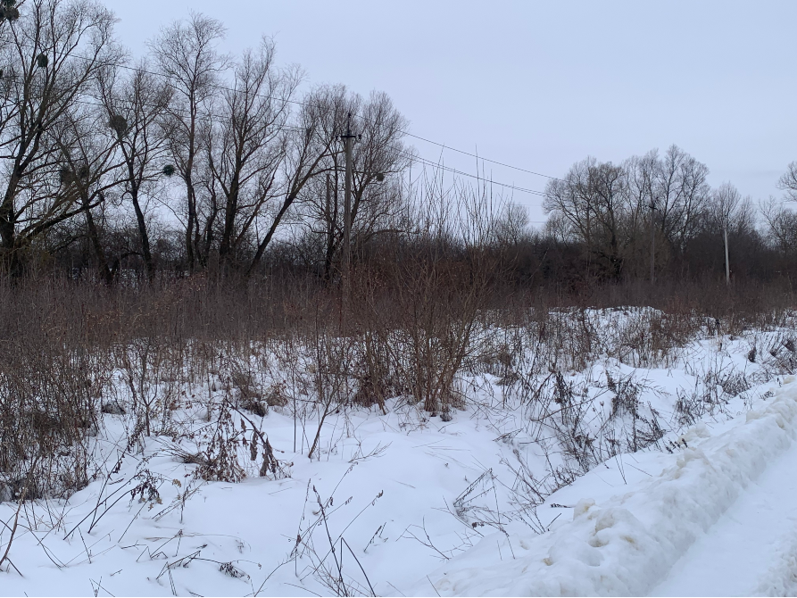 Продажа земельного участка Для сельскохозяйственной деятельности площадь 19 сот GWWH+WP, Миколаївський район, Львівська область, 81630 Дроговиж - изображение 4