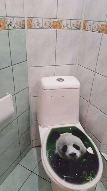 Продаж Квартира 2-кімнатна, 3/9 поверх на Йорданська вул., д. 18 Kiev - photo 7